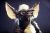 Avatar de Malakian