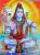 Avatar de shiva