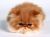 Avatar de Mogwaye