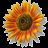 Avatar de Anna