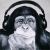 Avatar de checkmonkey
