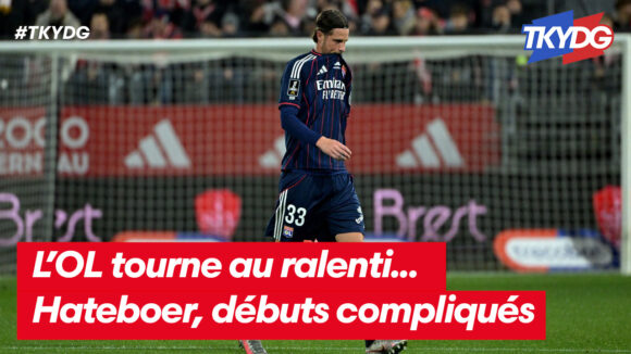 Vignette TKYDG 03 11 2025