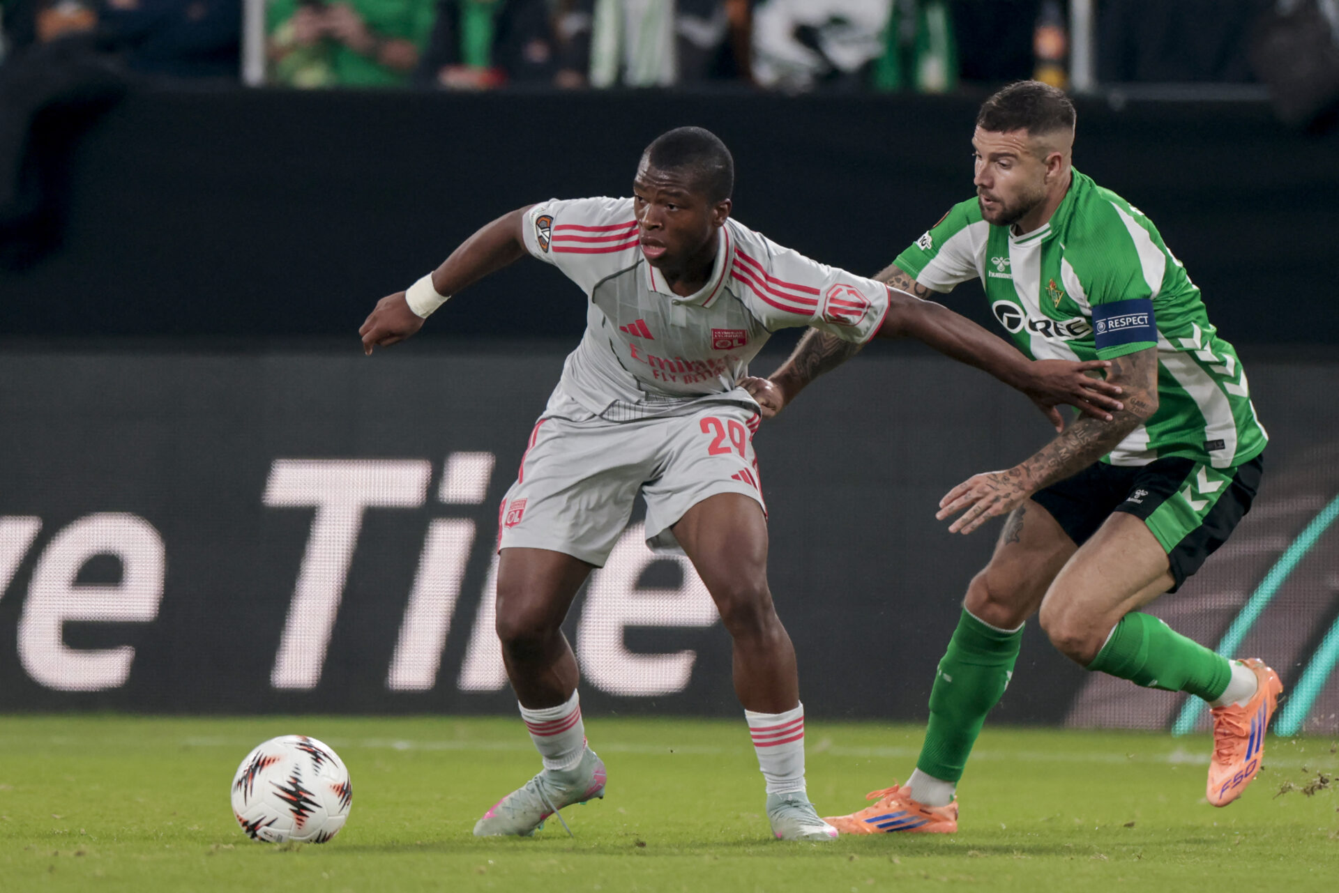 enzo fernandes